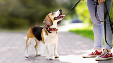 Socialwalk- der entspannte Lernspaziergang